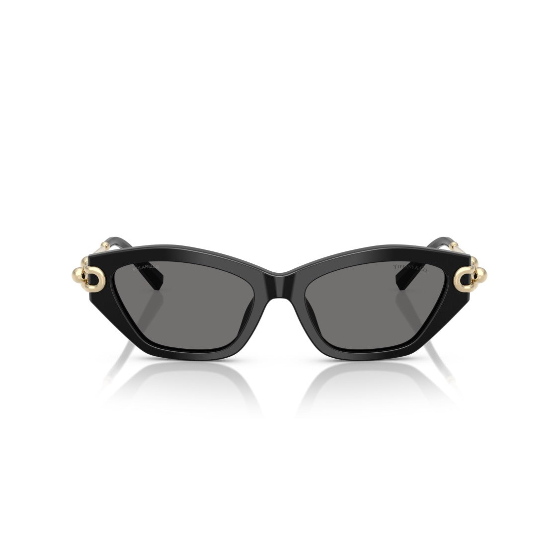 Tiffany & Co. 0Tf4231u Cat-Eye Sunglasses