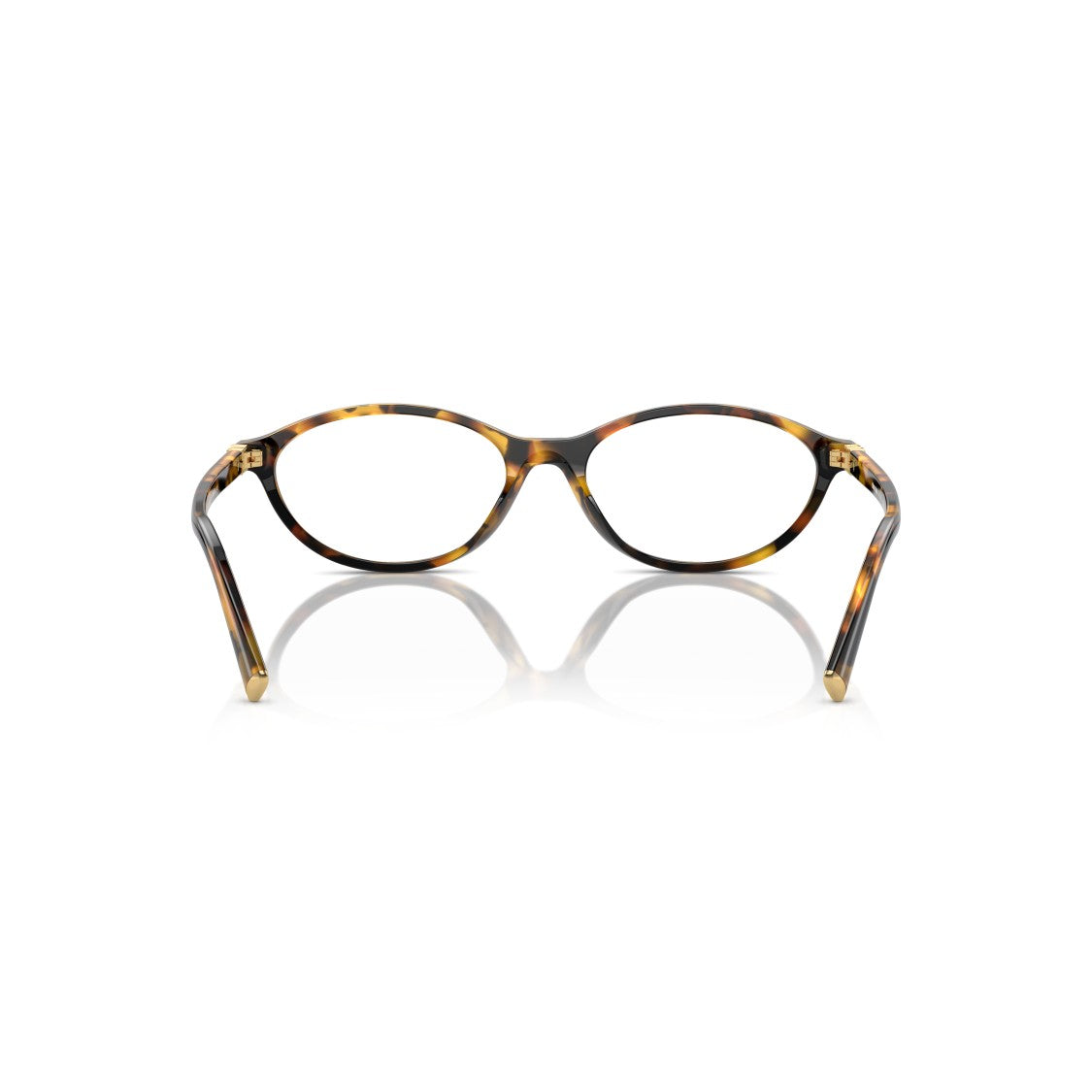 Miu Miu 0Mu 09Xv Tortoiseshell Oval Frame Eyeglasses