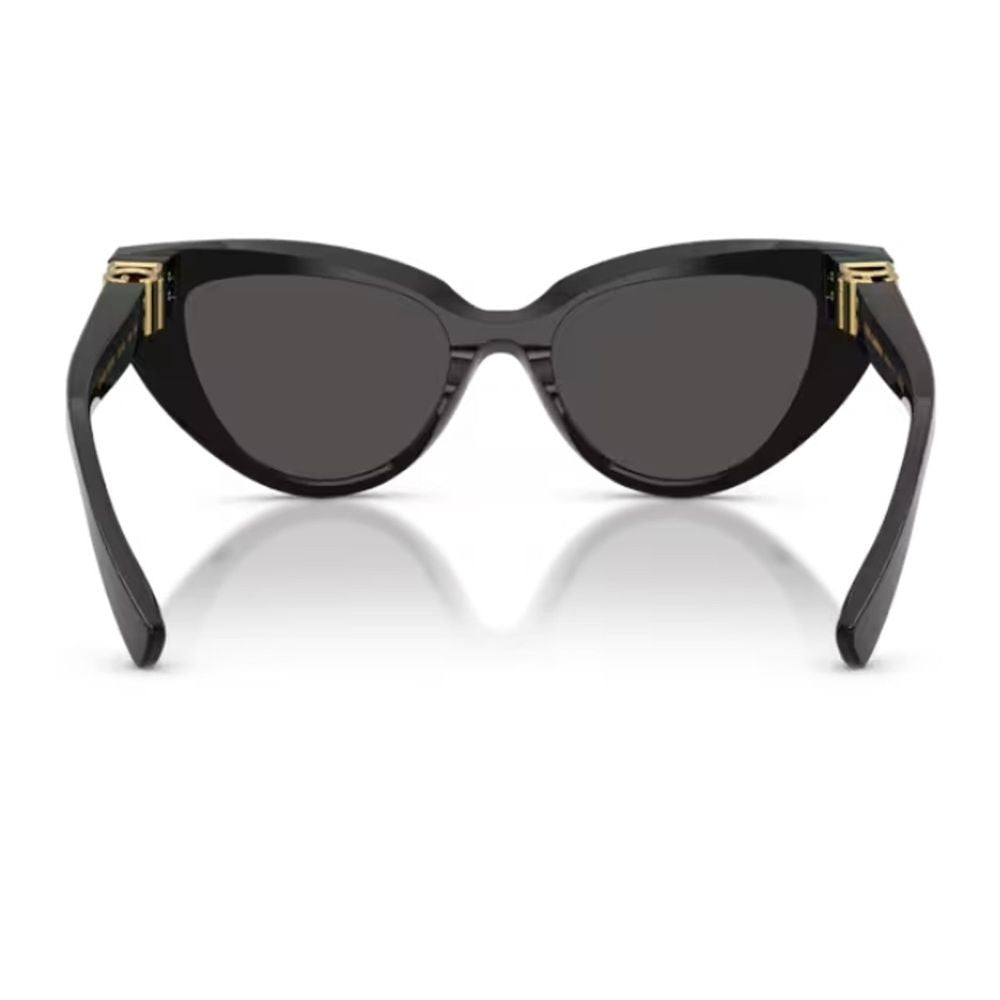 Dolce & Gabbana Dg4497 Dg Hinge Cat-Eye Sunglasses