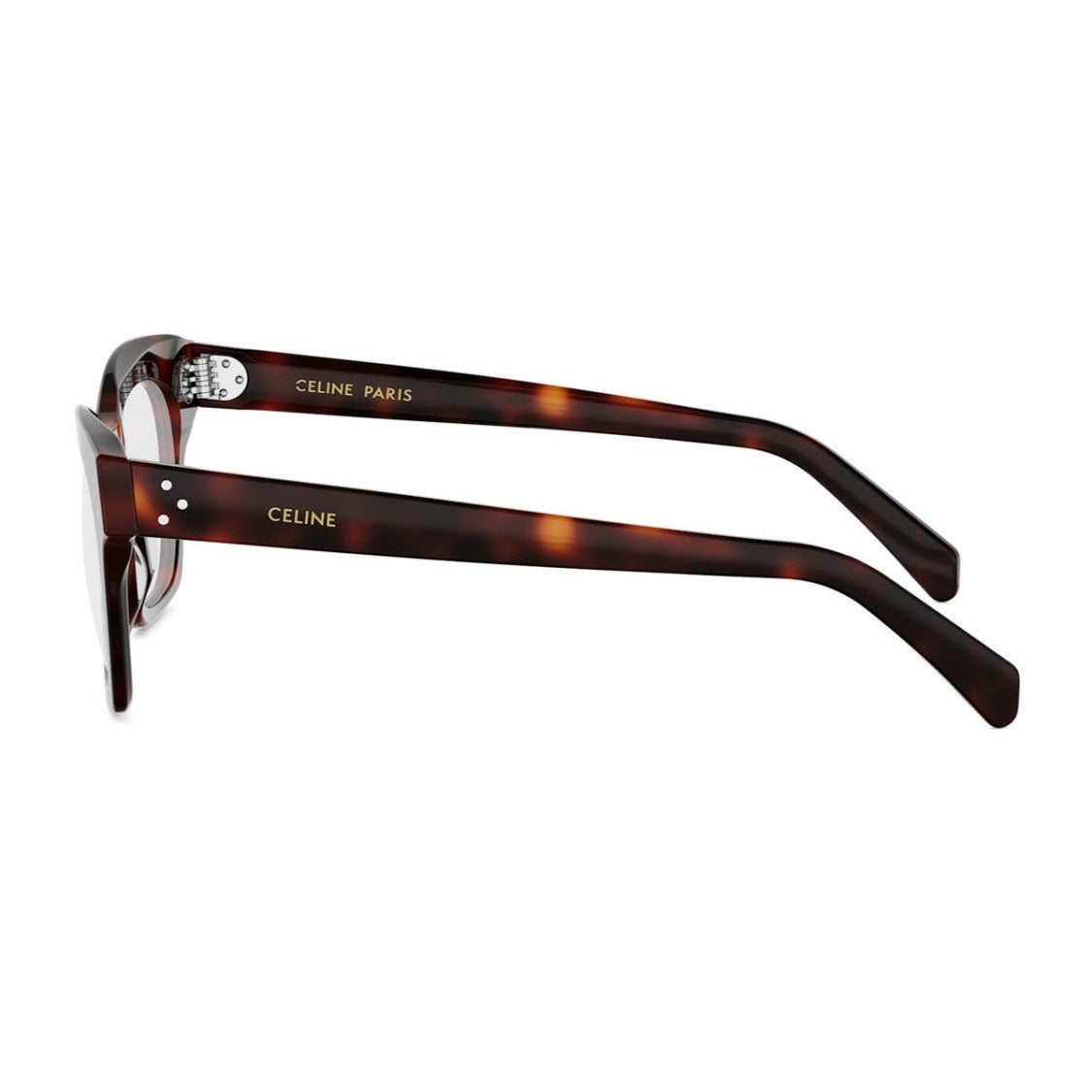 Celine Havana 3 Dots Hd Acetate Cat-Eye Sunglasses