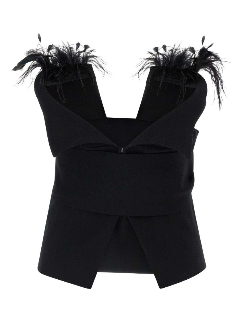 Alberta Ferretti Structured Bustier Top With Feather Details