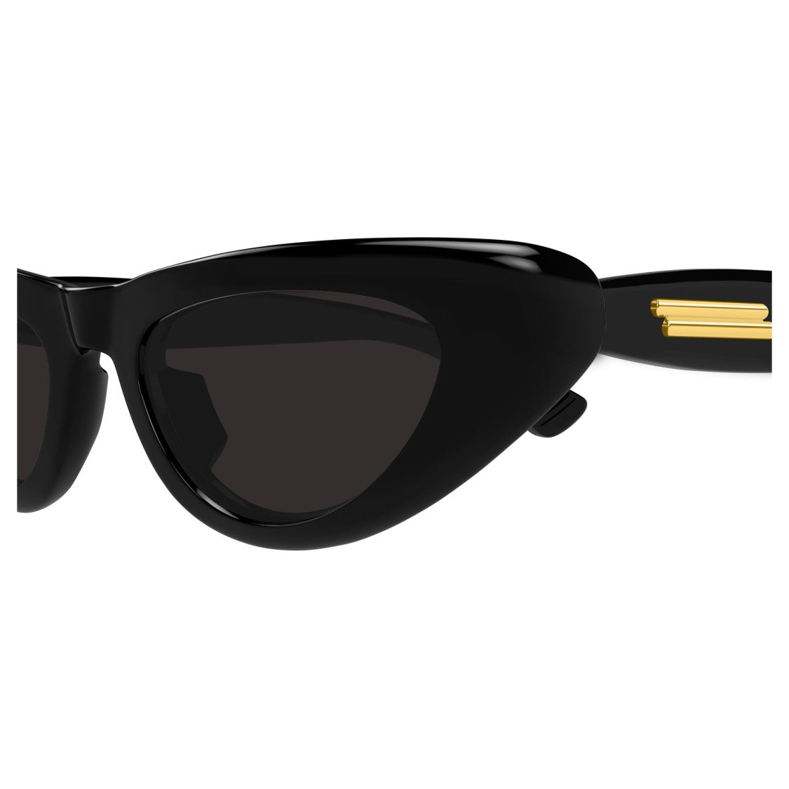 Bottega Veneta Bv1450s Cat-Eye Sunglasses