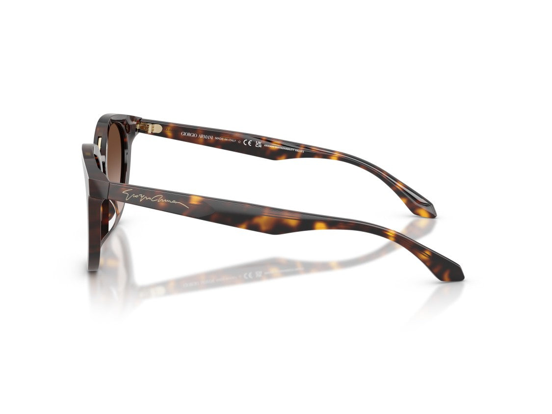 Giorgio Armani Gold 0Ar8252u Tortoiseshell Cat-Eye Sunglasses