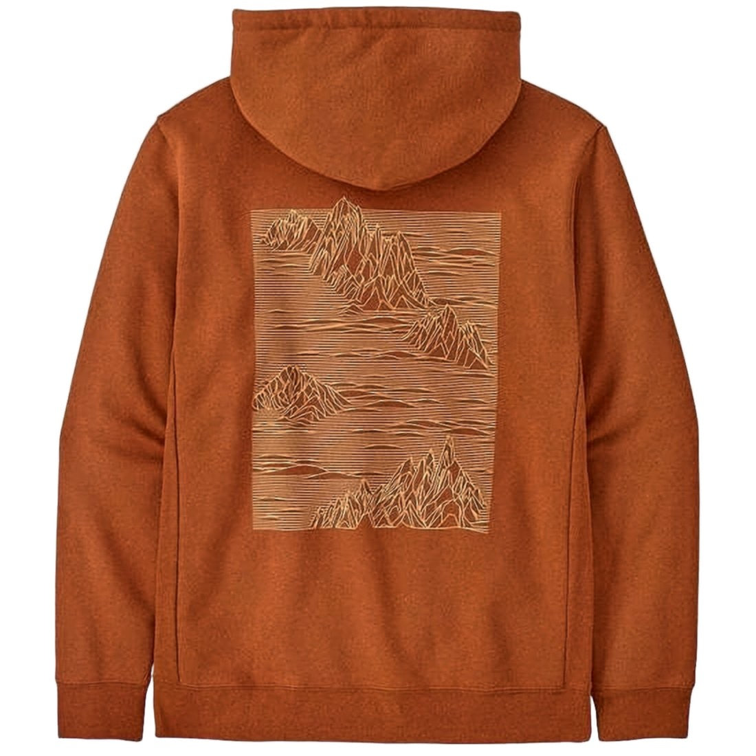 Patagonia Earthy Orange Pullover Hoodie With Mountain Graphic