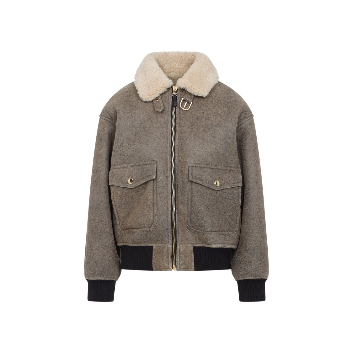 Celine Aviateur Brode Blouson