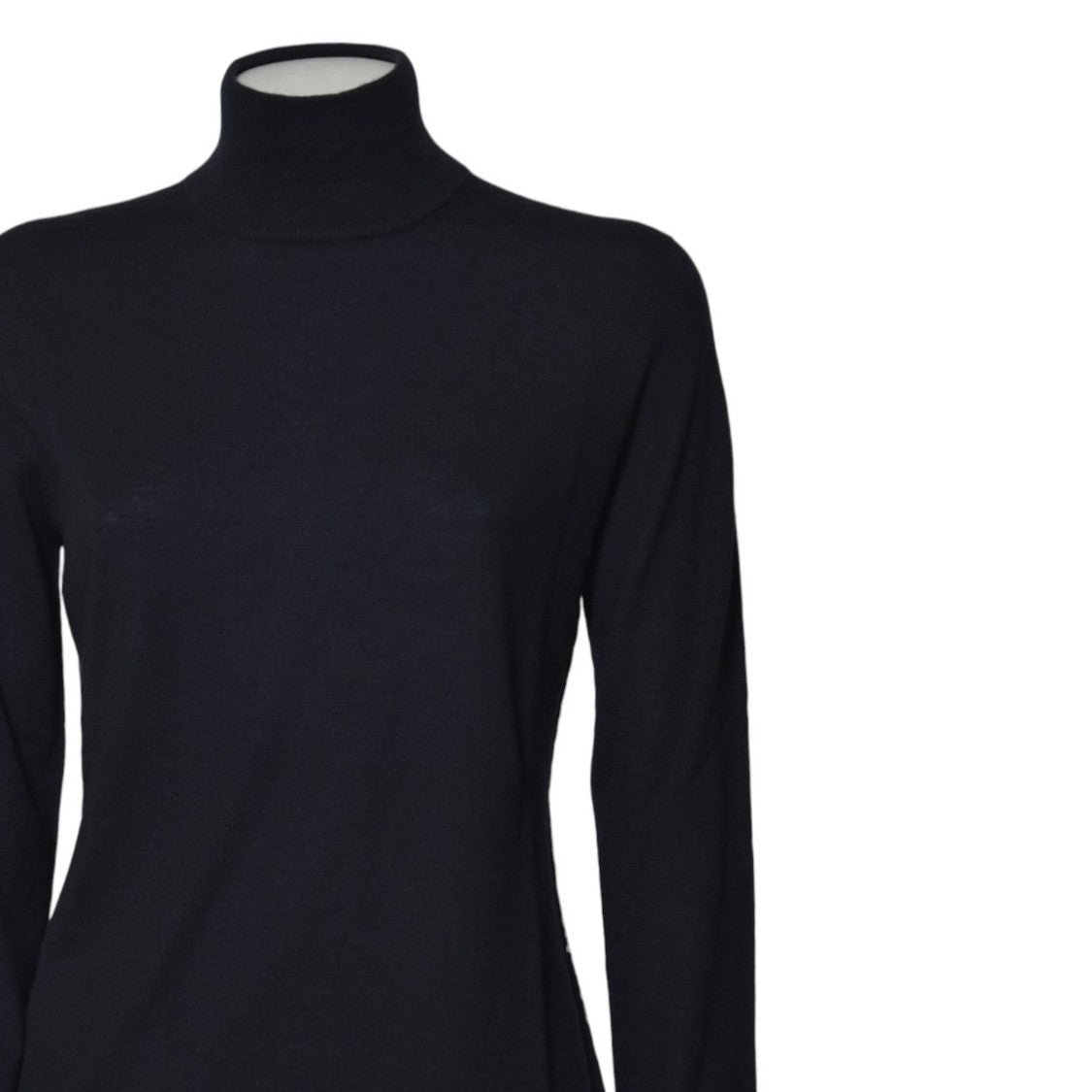 Max Mara Fitted Turtleneck Cashmere Sweater With High Neckline