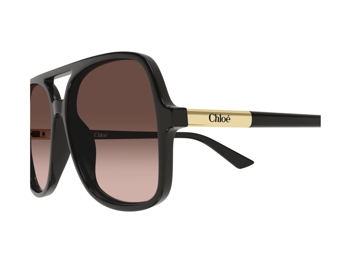Chloé Ch0364s Square Sunglasses
