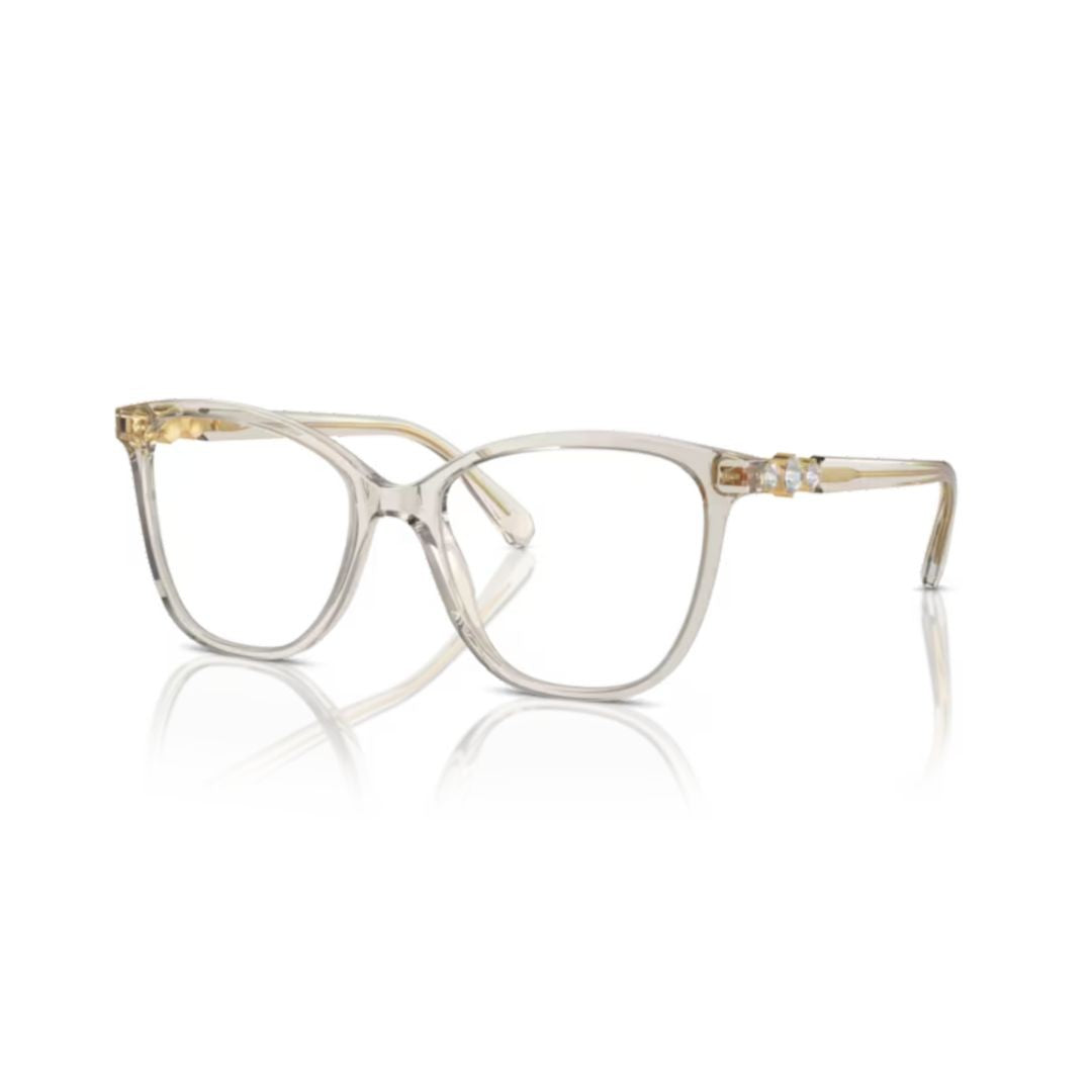 Swarovski 0Sk2020 Translucent Cat-Eye Sunglasses
