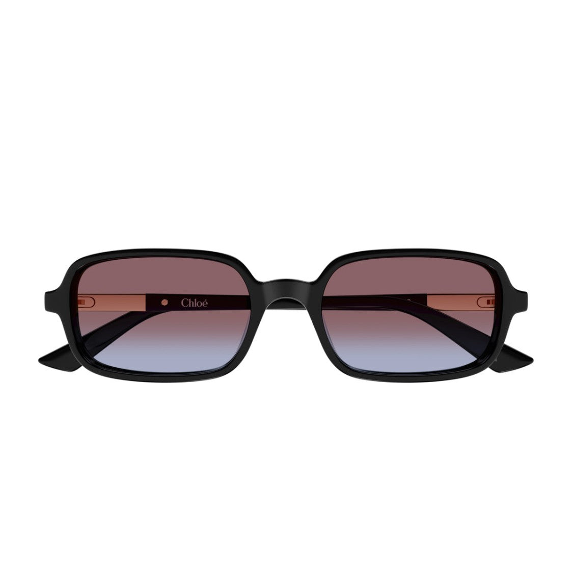 Chloé Black Ch0363s Rectangular Acetate Sunglasses