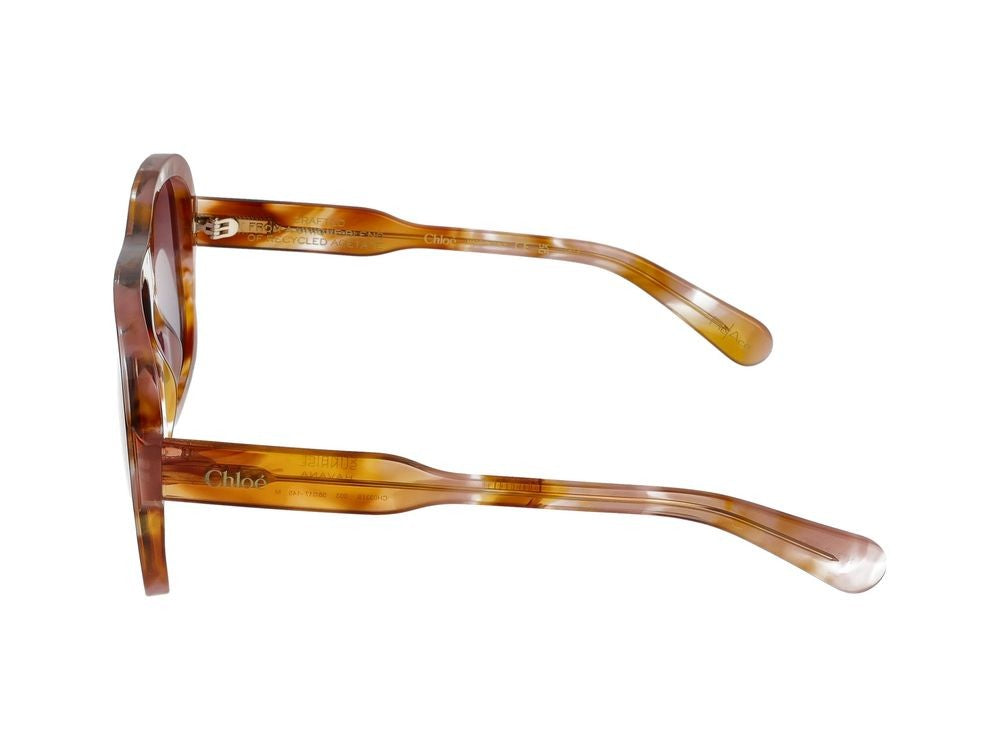 Chloé Sunglasses Ch0331s 003 Havana Havana Red 58/17/145