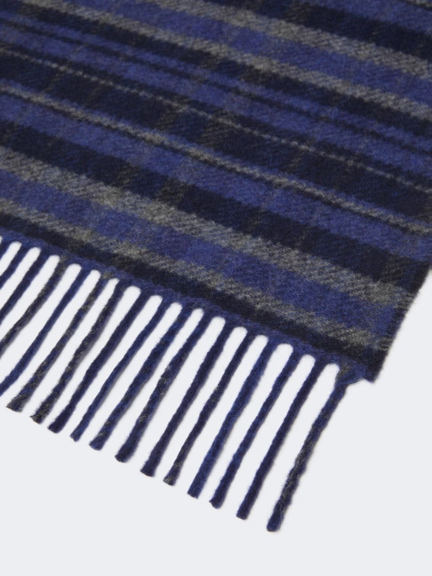 Max Mara Refined Blue Plaid Scarf With Fringed Edges