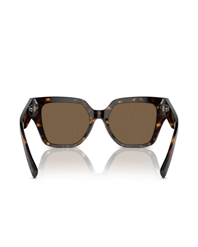 Dolce & Gabbana Square Shape Havana Brown Sunglasses