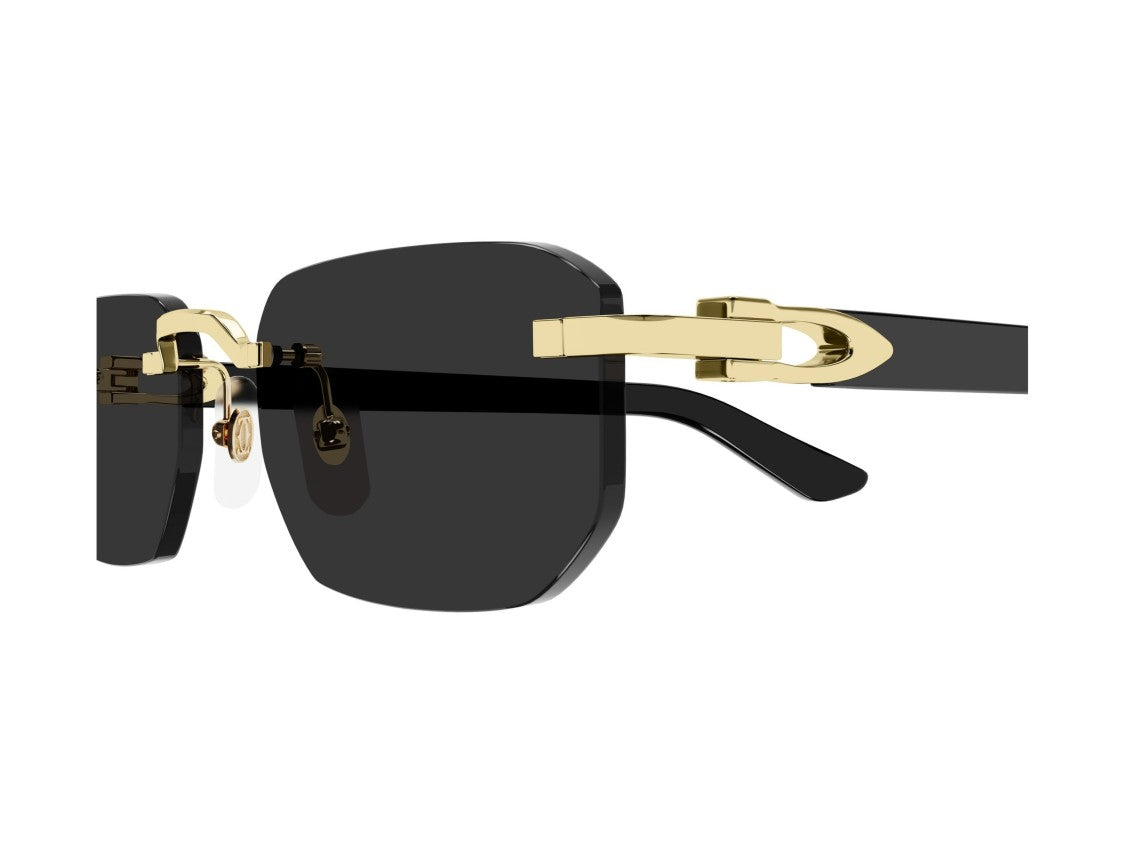 Cartier Ct0622s Rimless Square Sunglasses