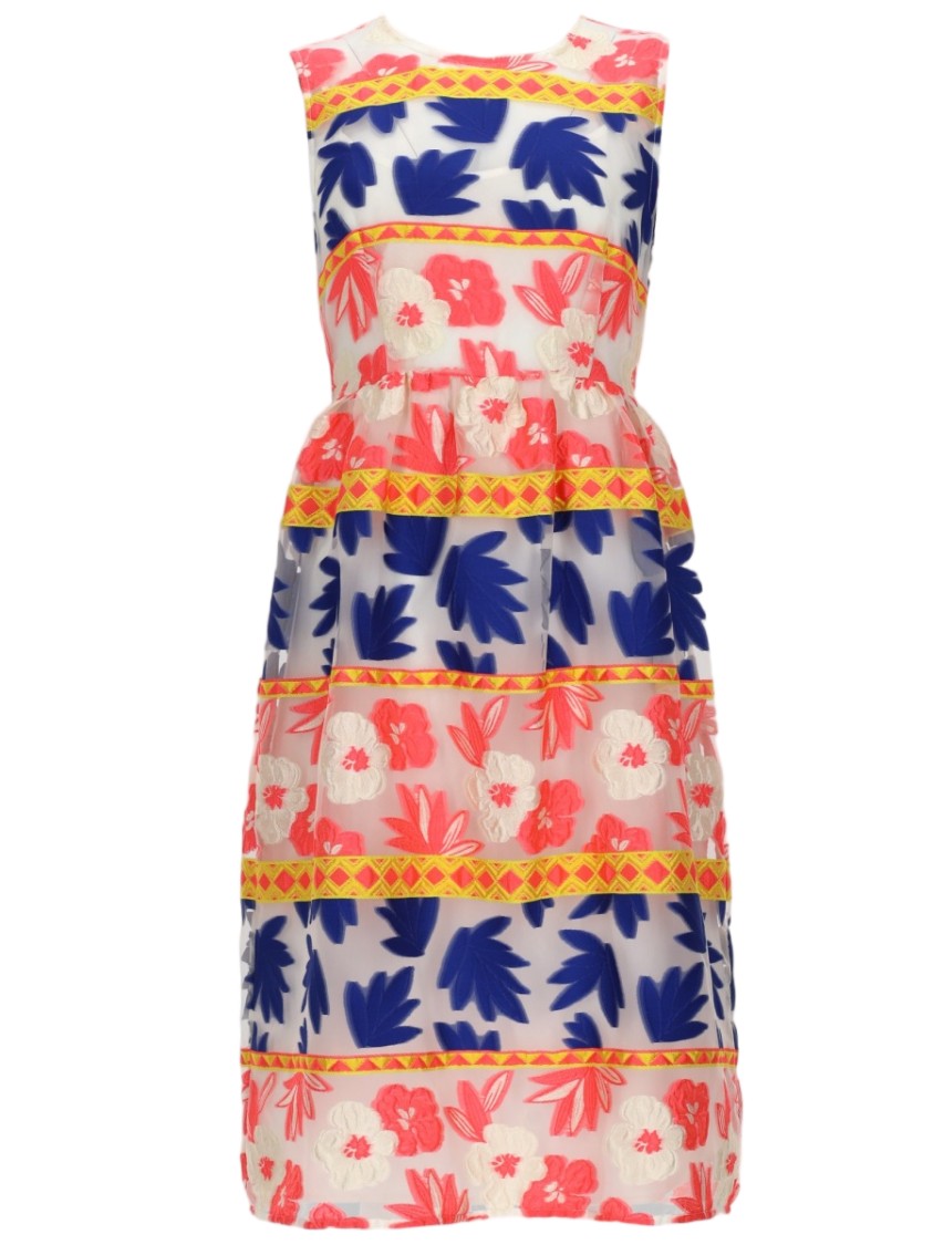 P.A.R.O.S.H. Sleeveless Fitted Floral Dress With Geometric Detailing