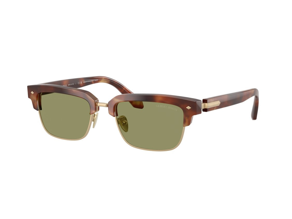 Giorgio Armani Gold 0Ar8243 Tortoiseshell Acetate Sunglasses
