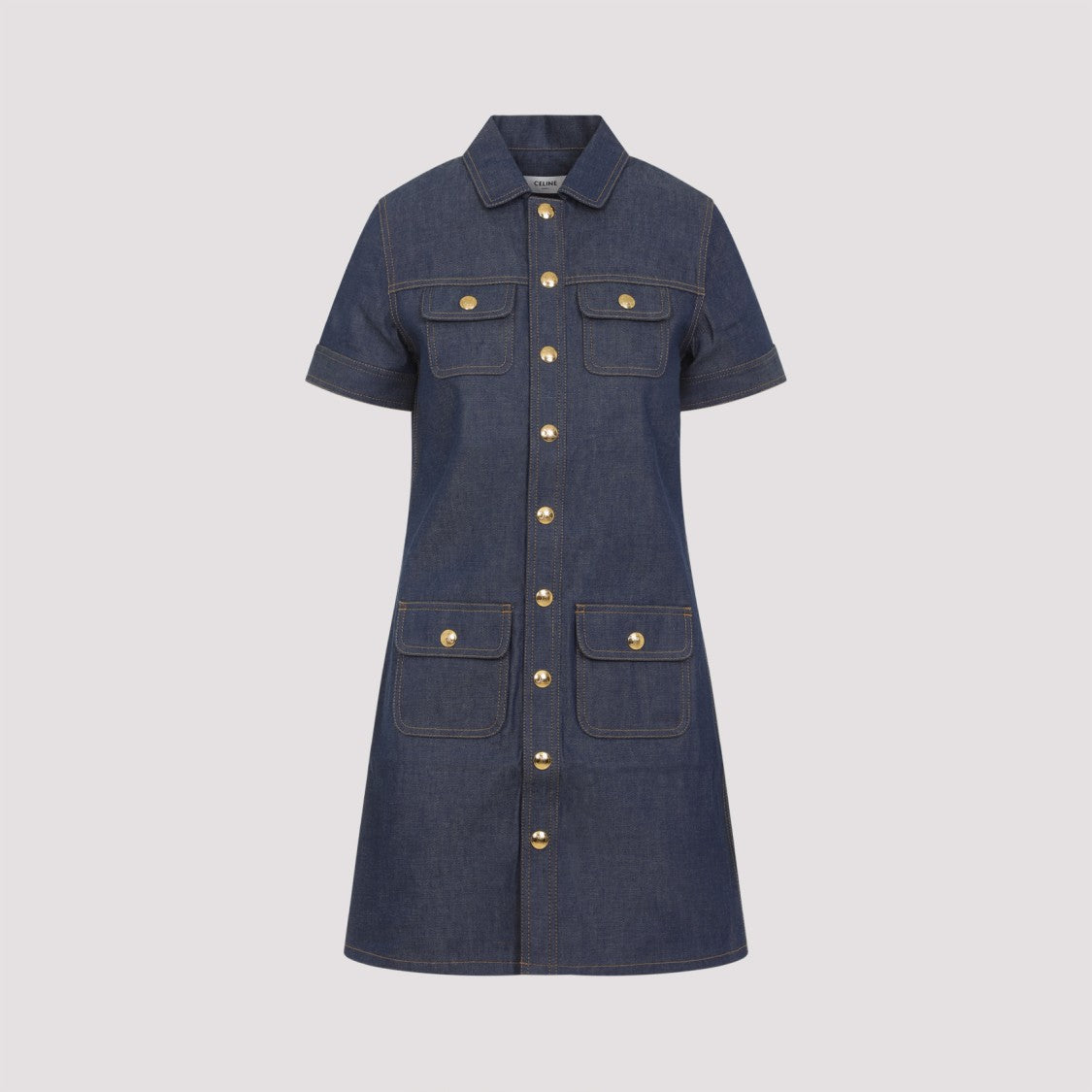 Celine Pointed Collar Mini Dress