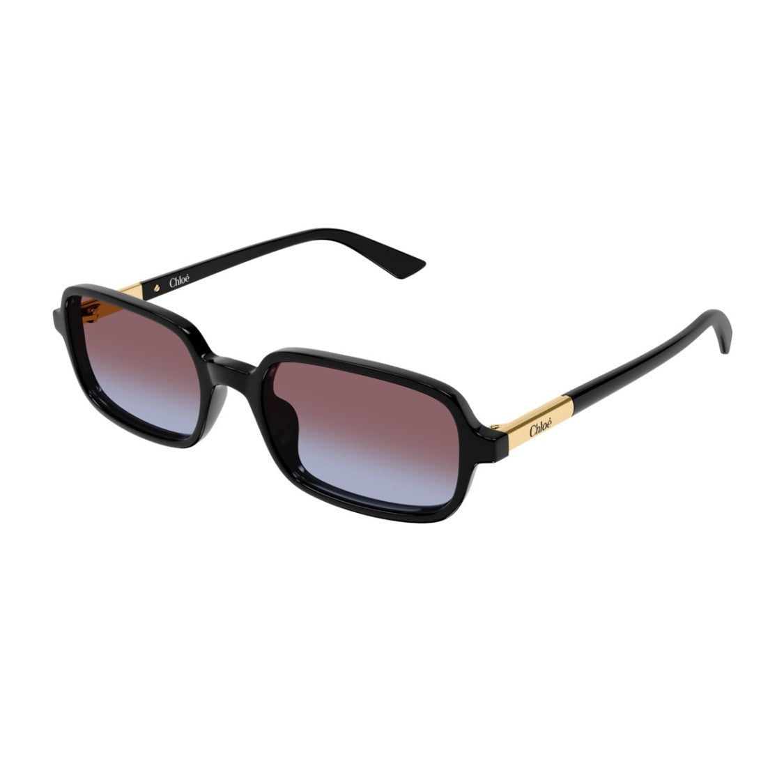 Chloé Black Ch0363s Rectangular Acetate Sunglasses