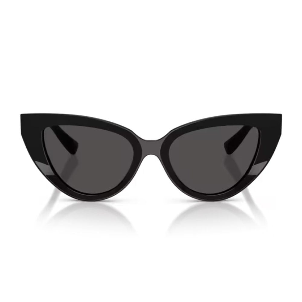 Dolce & Gabbana Dg4497 Dg Hinge Cat-Eye Sunglasses