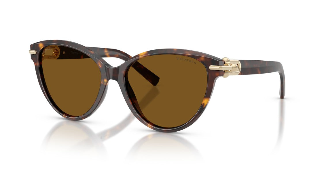 Tiffany & Co. 0Tf4261 Rounded Cat-Eye Sunglasses