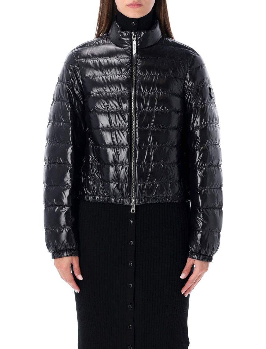 Moncler X Edward Enninful Knut Short Glossy Down Jacket