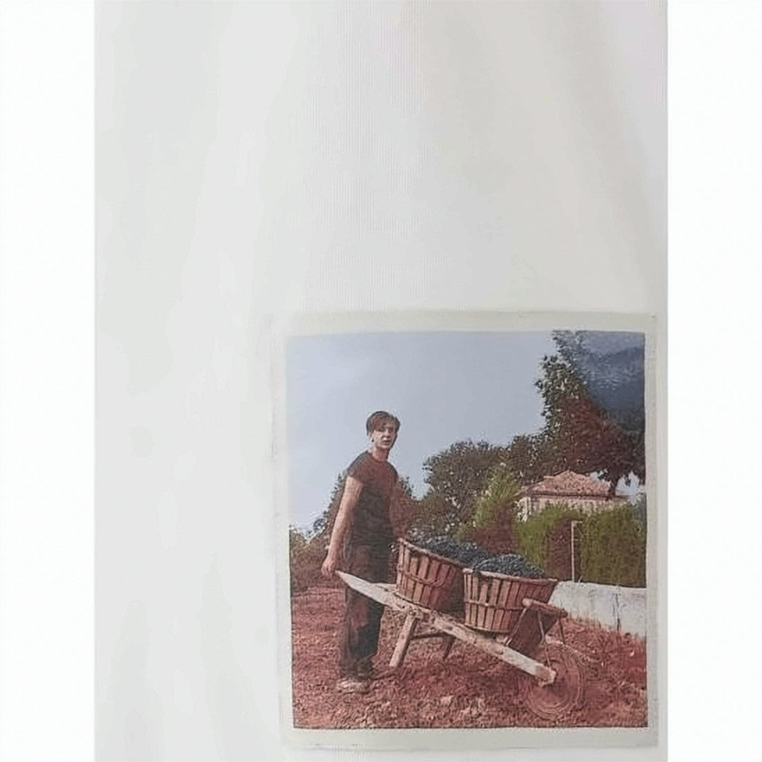 Jacquemus Graphic Print Short-Sleeve T-Shirt