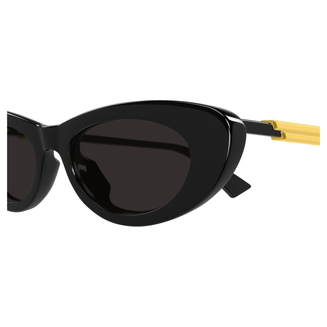 Bottega Veneta Bv1447s Cat-Eye Sunglasses