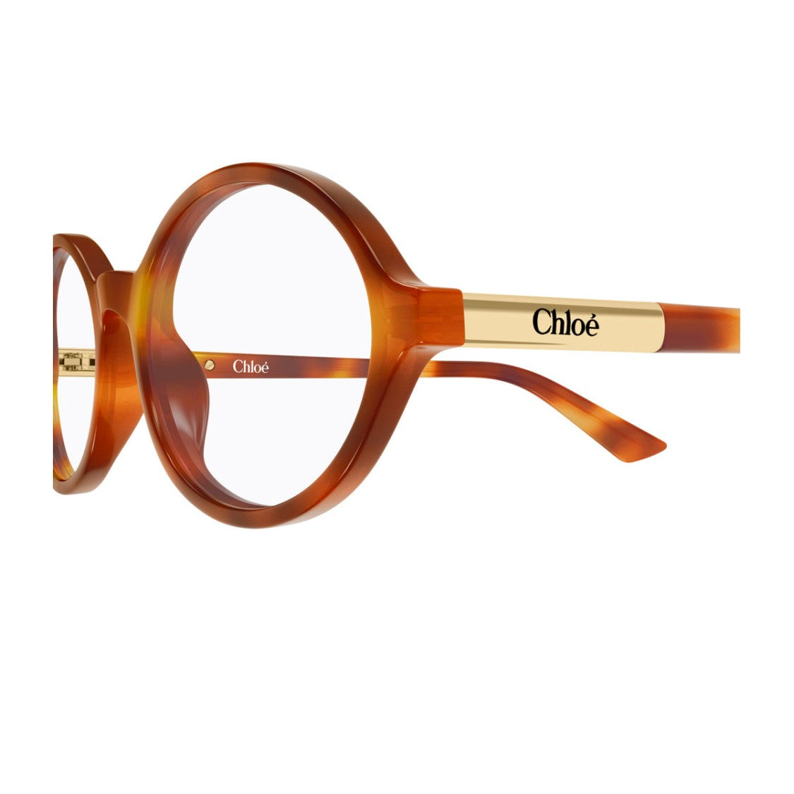 Chloé Havana Softly Injected Oval Glasses