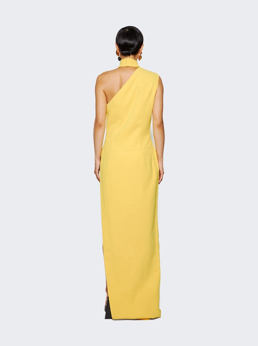 Mônot Asymmetrical High Neck Shoulder Dress