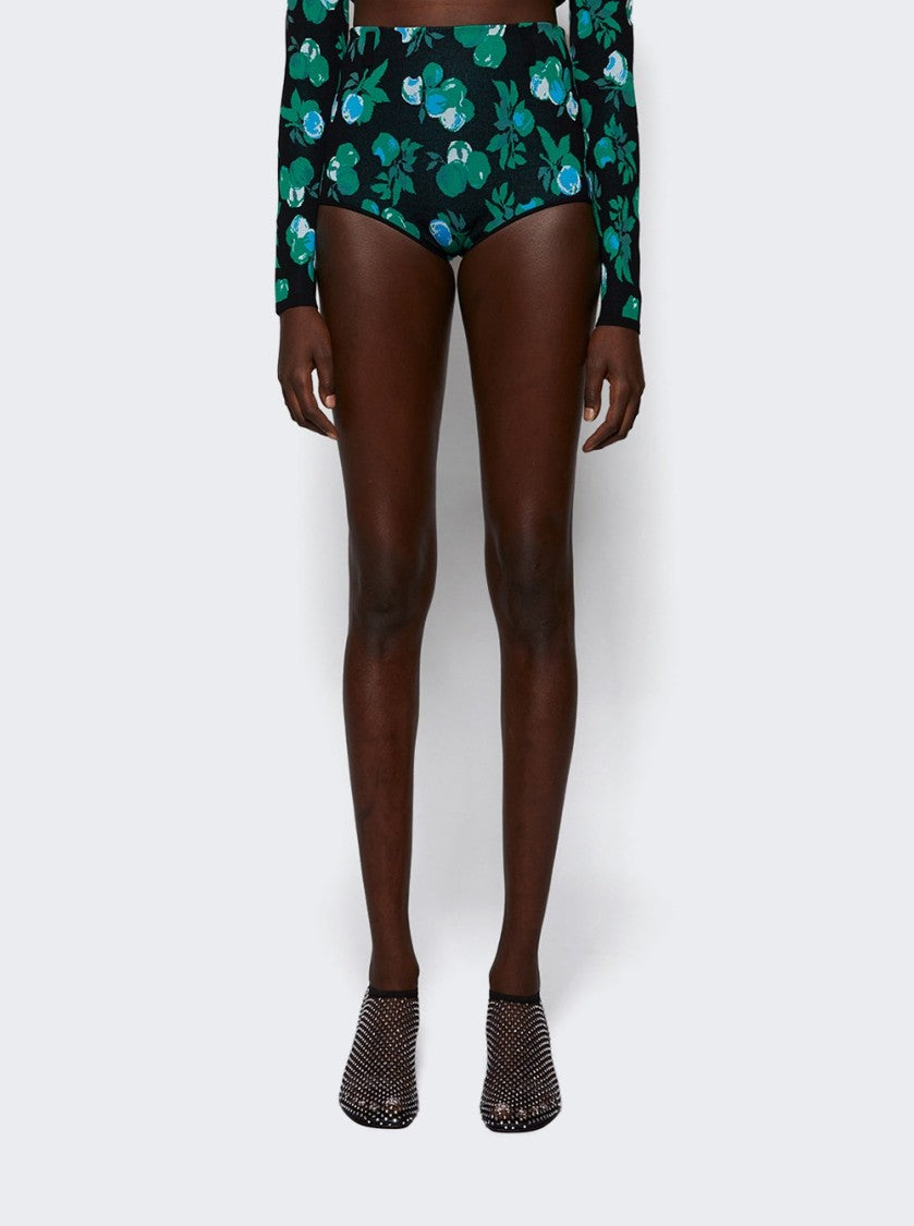 Coperni Jacquard Knitted Shorts Blue