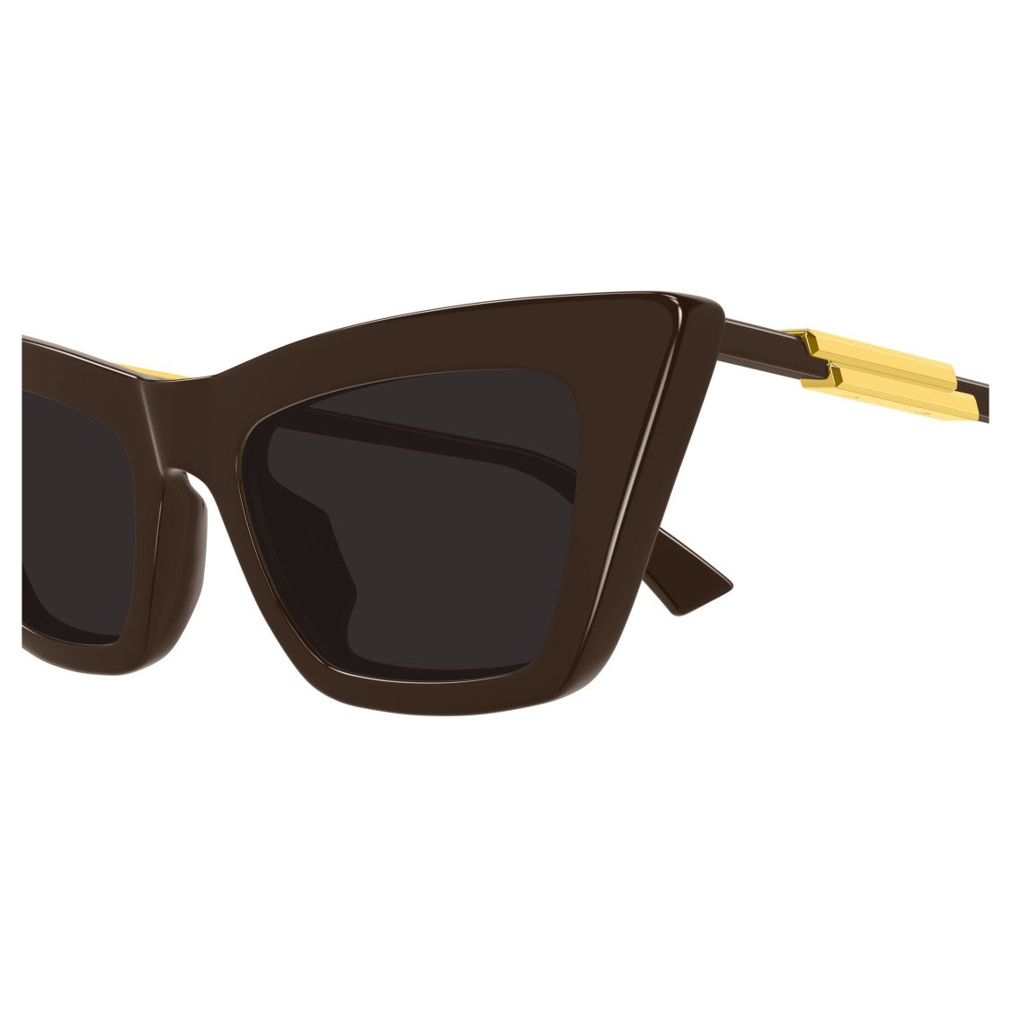 Bottega Veneta Bv1446s Bold Cat-Eye Sunglasses