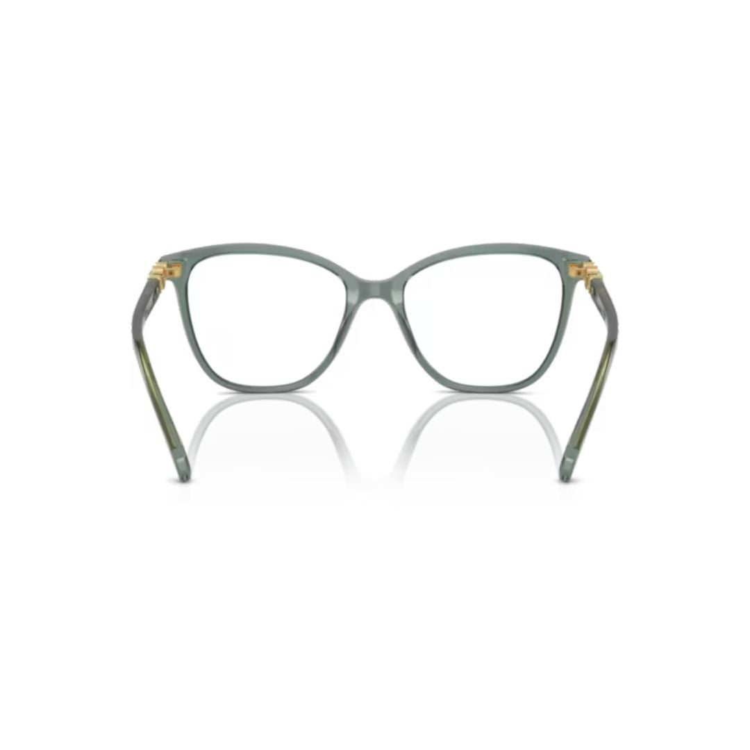 Swarovski 0Sk2020 Translucent Green Acetate Cat-Eye Eyeglasses