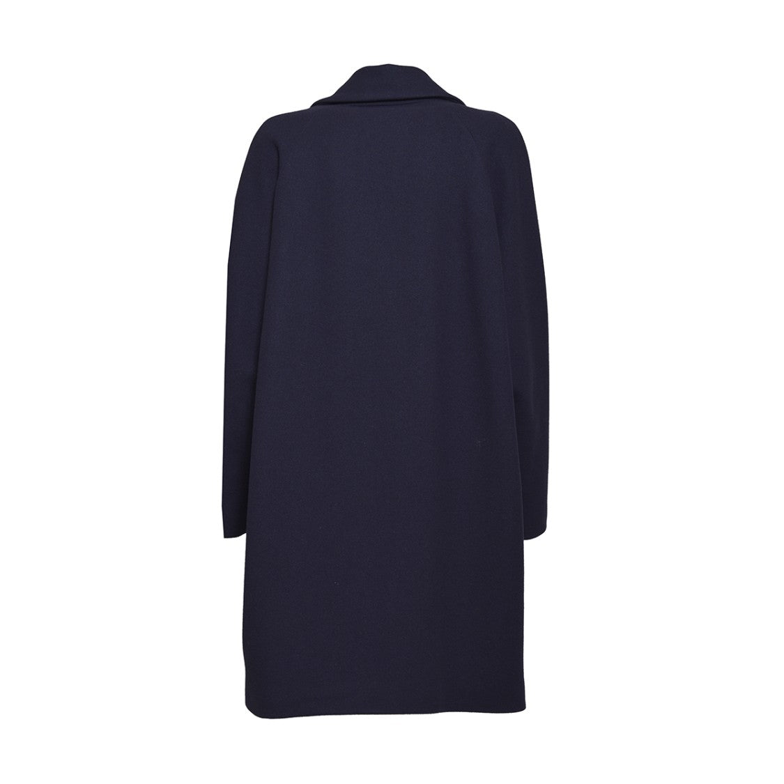 Bazar Deluxe Single-Breasted Blue Wool Coat With Detail
