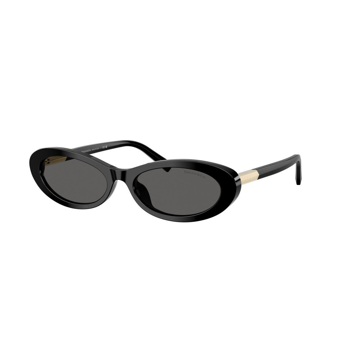 Tiffany & Co. 0Tf4250 Elongated Oval Sunglasses